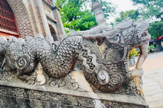 Doc dao Bao vat Quoc gia rong da 'tu vuot rau' tai Di tich Co Loa hinh anh