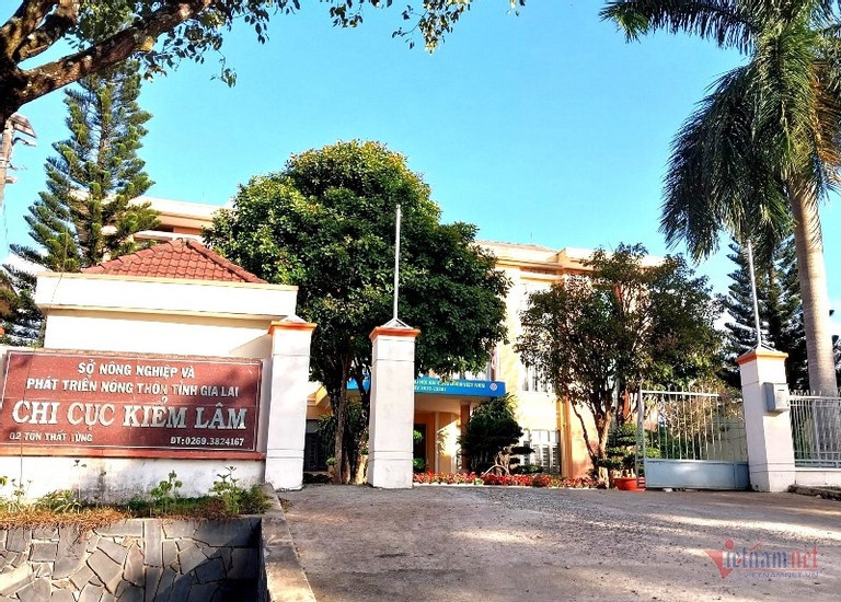 Kiem Lam Gia Lai anh 1