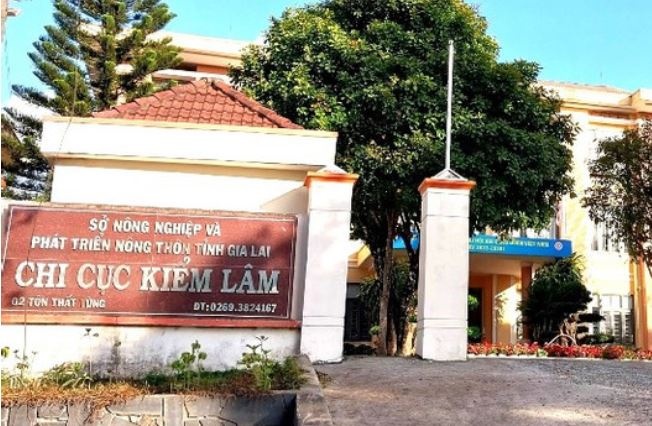 Chi cuc truong Kiem lam tinh Gia Lai xin nghi huu truoc tuoi hinh anh