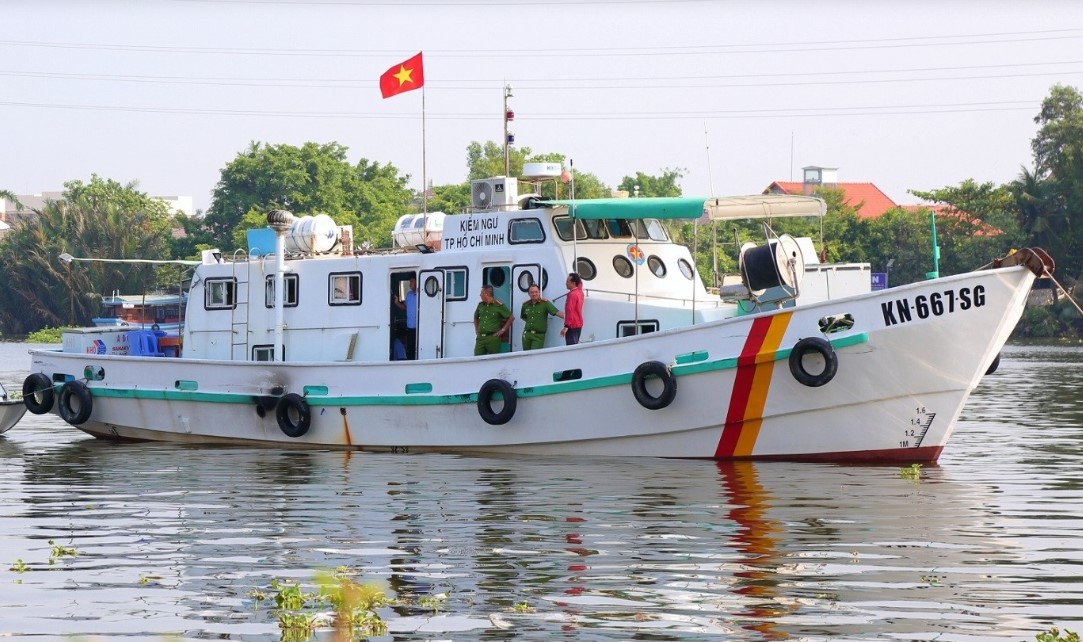 TP.HCM dung tau kiem ngu ngan nan chich ca phong sinh tien ong Tao hinh anh