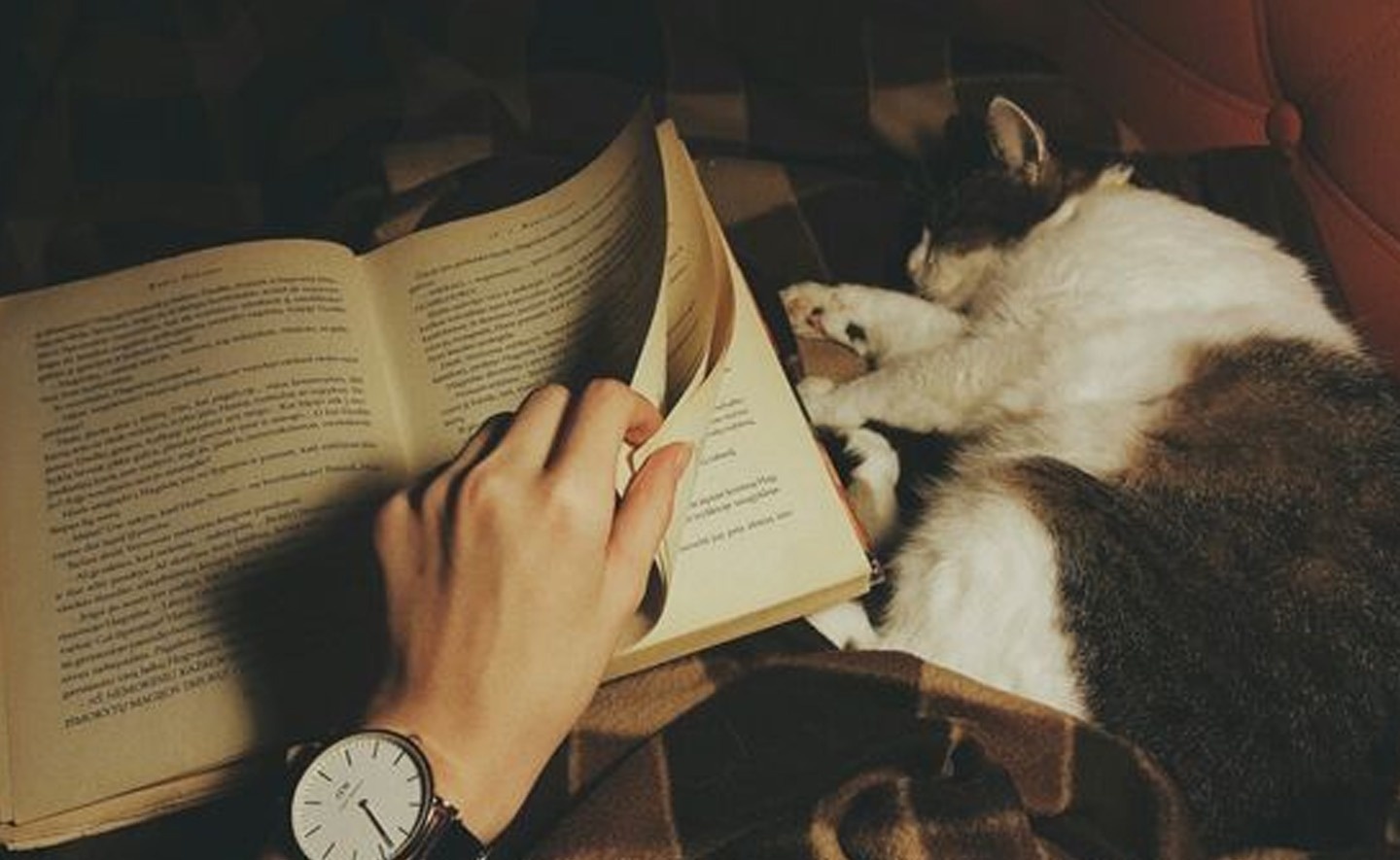 5 cuon sach hay de doi pho voi lo au va tram cam hinh anh