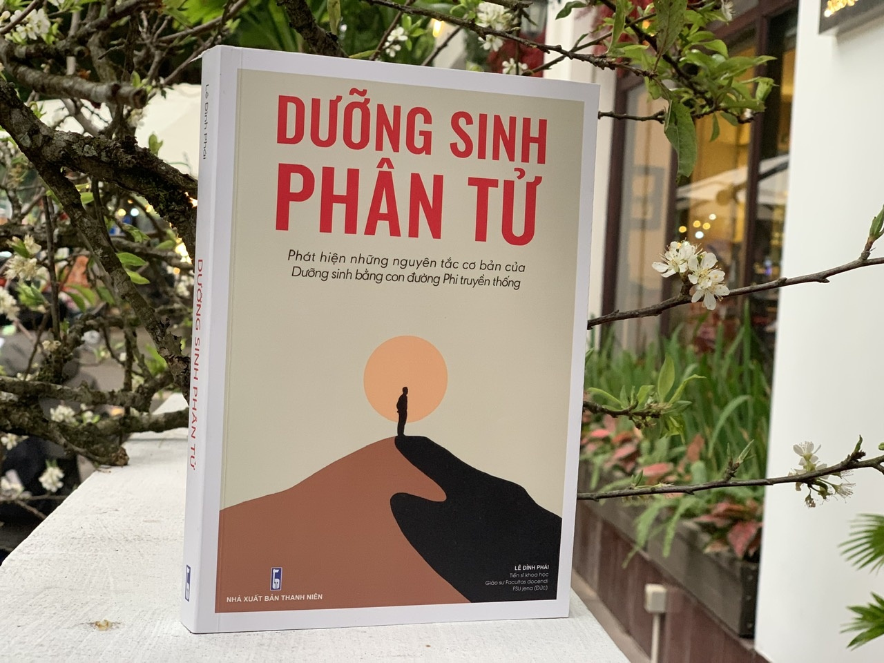 Dung chi chu y den dinh duong, tam hon cung can thuc an lanh manh hinh anh