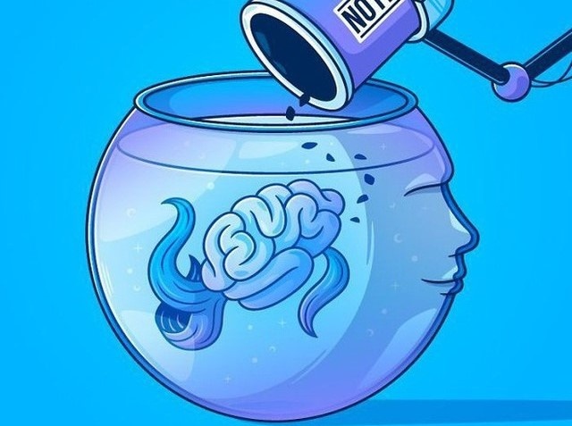 'Cai bay cua tri thong minh' va mat trai cua su thanh cong hinh anh