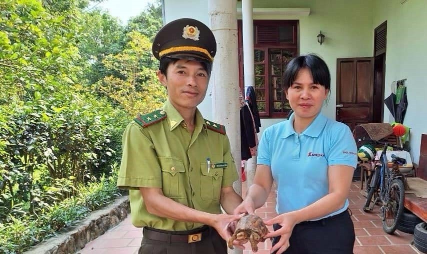 Rua hop tran vang anh 1