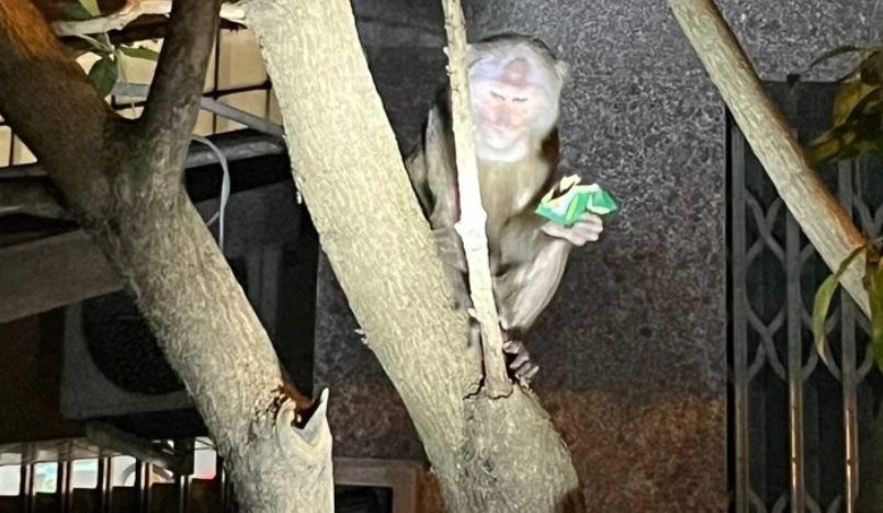 Dan khi long xam lien tuc quay pha nhieu nha dan o Phu Yen hinh anh