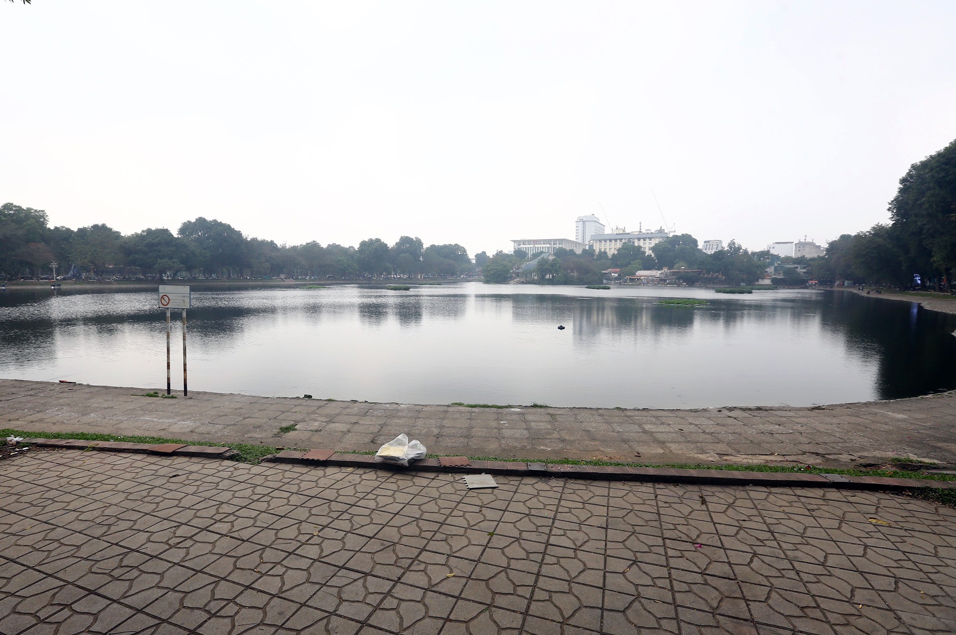 lam quang truong anh 1