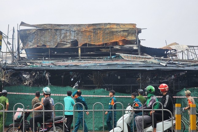 Chay hang cay canh anh 2