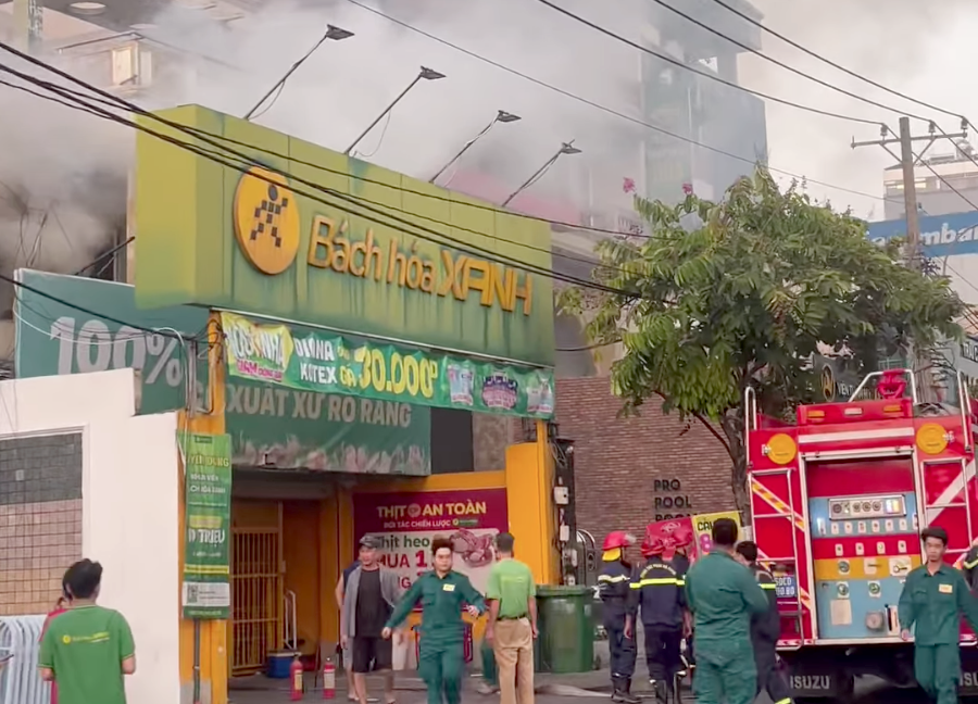 Chay Bach Hoa Xanh o TP.HCM hinh anh