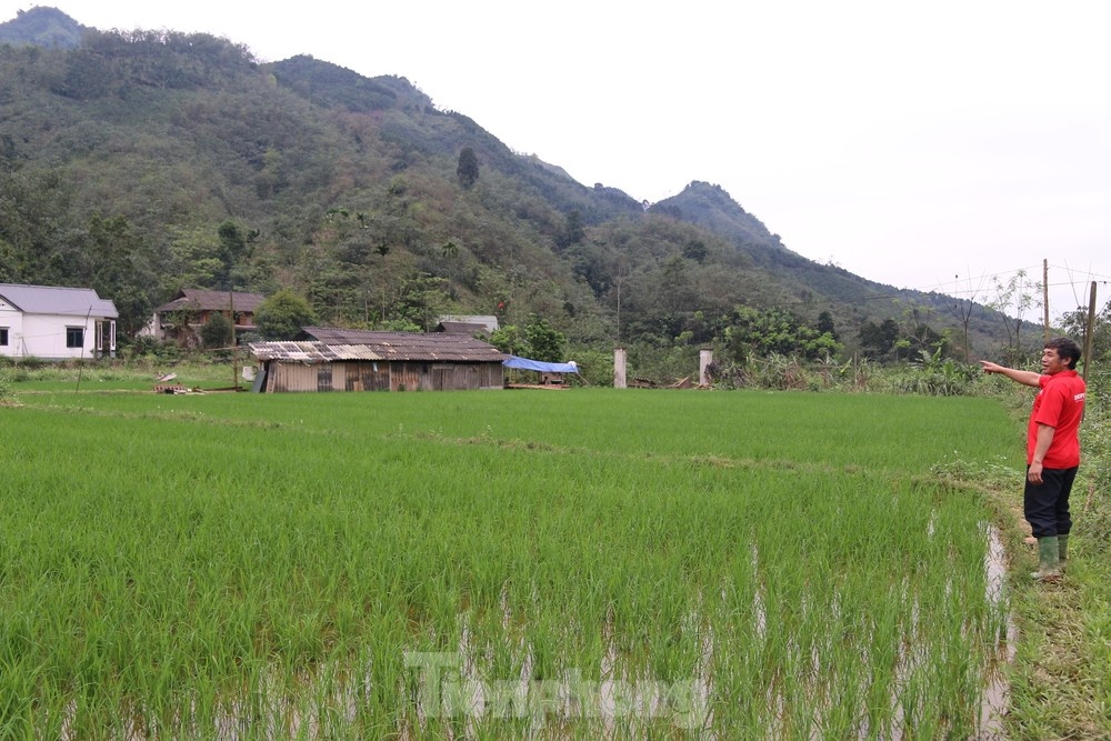 No min Yen Bai anh 3