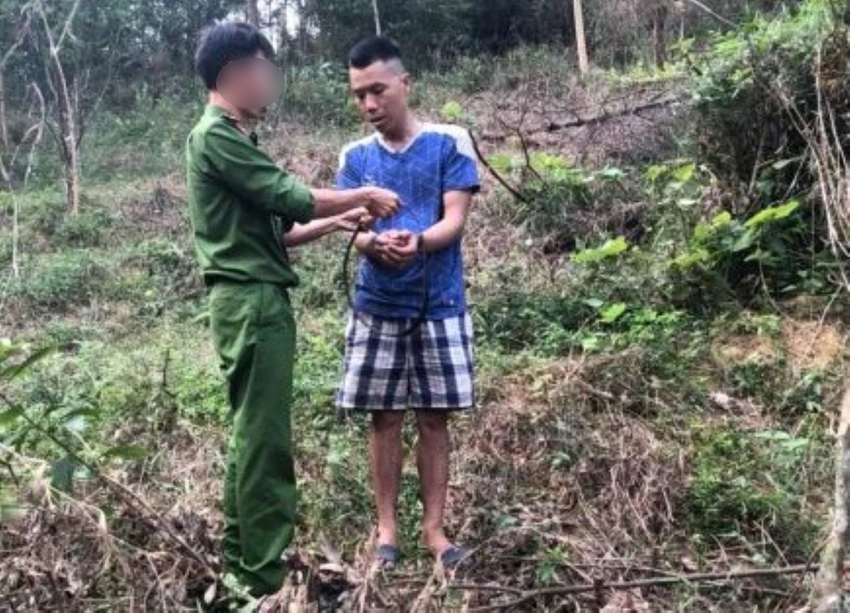 Ly do pham nhan tron trai, cuop taxi o Thanh Hoa hinh anh