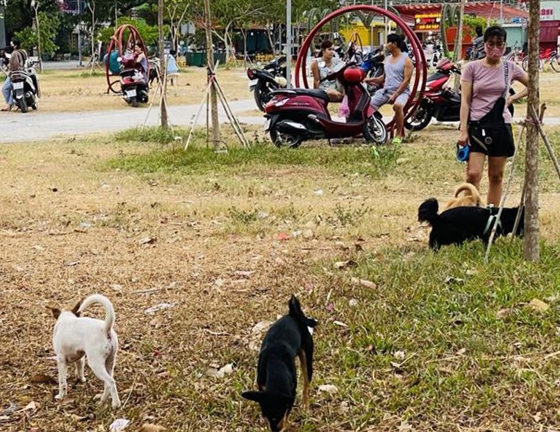 Lam sao dep duoc nan cho tha rong, phong ue bua bai? hinh anh