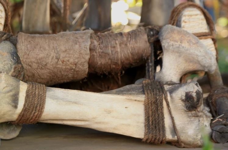 4 hien vat cua Thien duong Tay Nguyen Gia Lai bi danh cap hinh anh