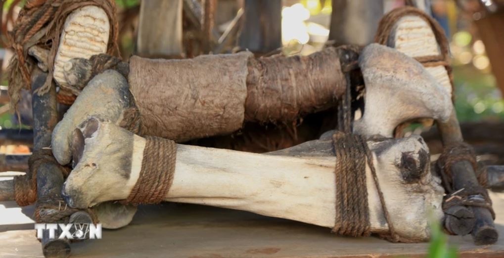 Co vat Gia Lai anh 1