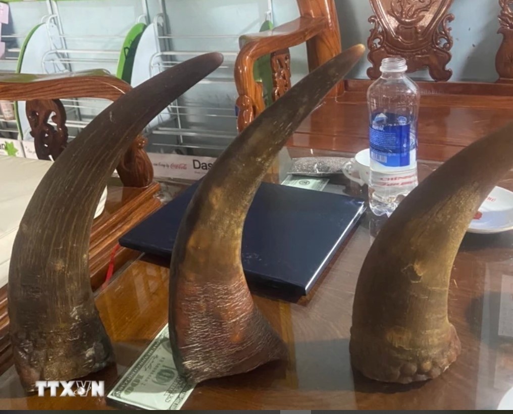 Bat giu nhom doi tuong lua ban thien thach va sung te giac hinh anh