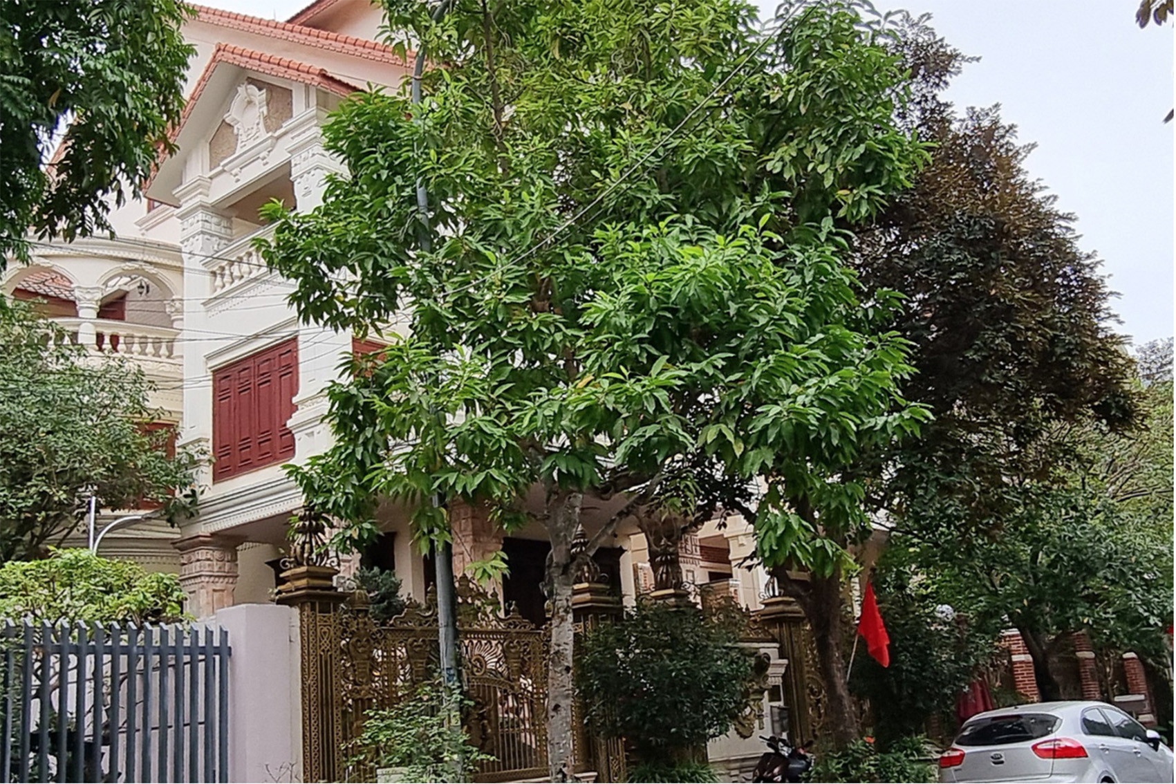 Do Huu Ca Hai Phong anh 1