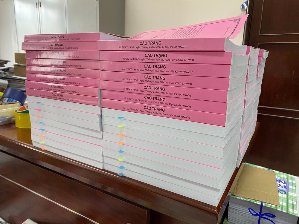 Truy to 254 bi can trong 'dai an dang kiem' hinh anh