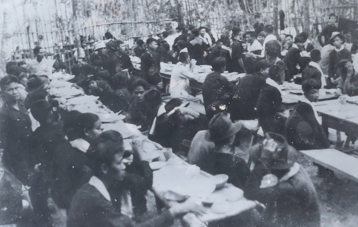 Mien Nam chia lua anh 4