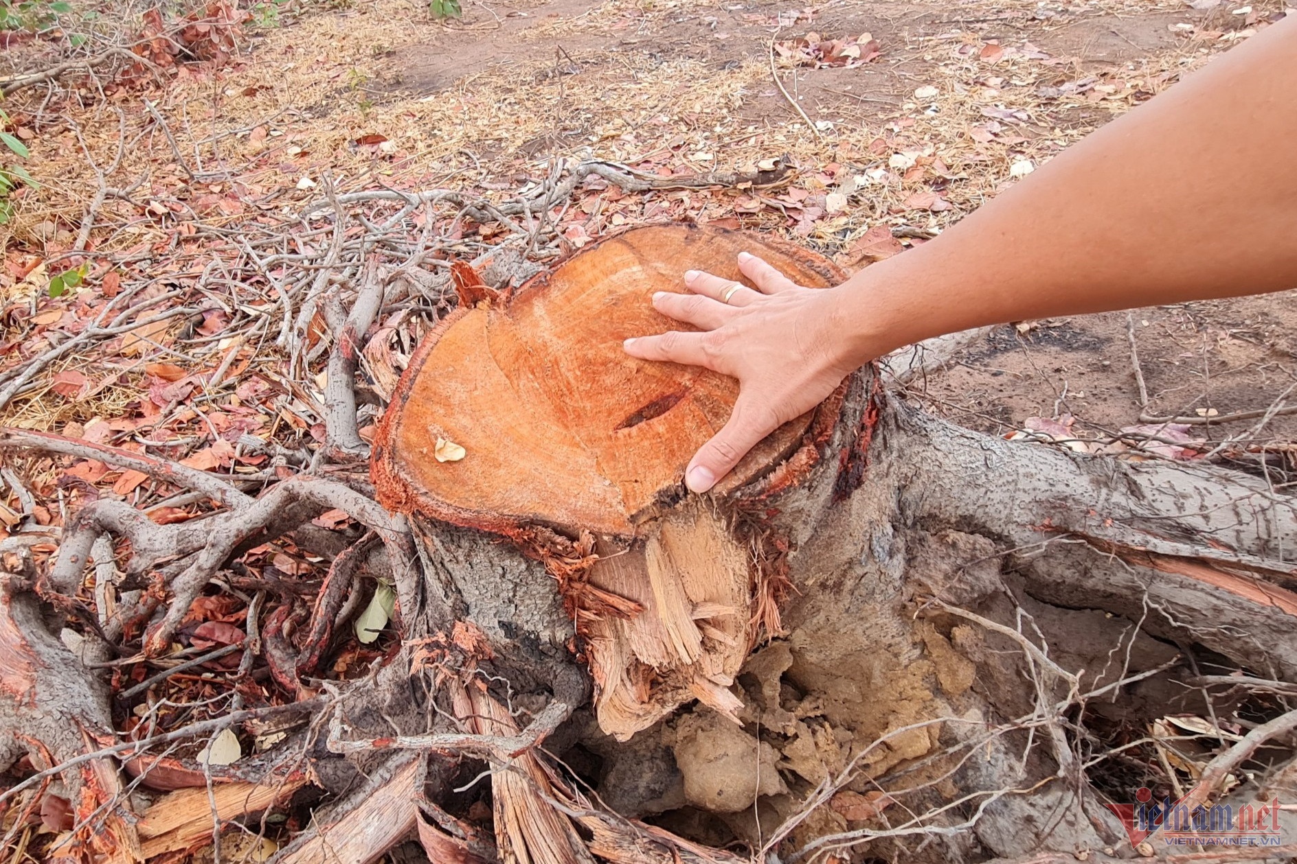 Ia R've Dak Lak anh 2