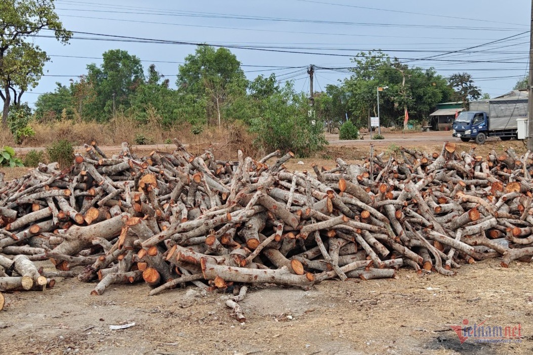 Ia R've Dak Lak anh 3