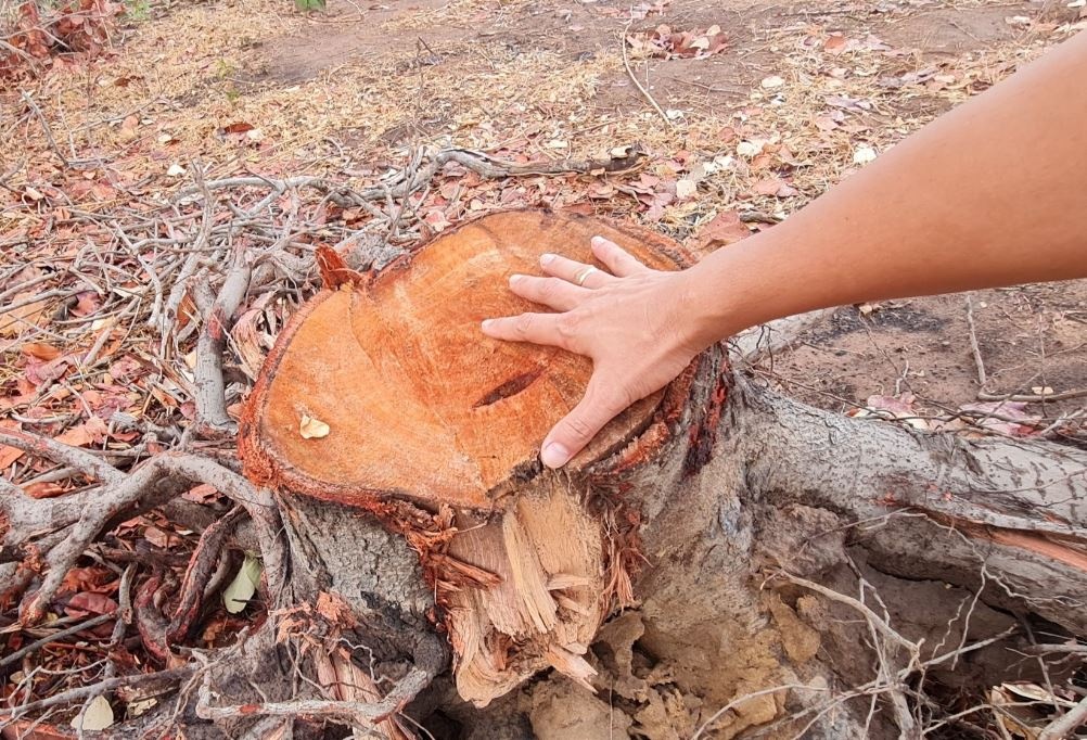 Mot xa o Dak Lak gan 6 thang khong mua hinh anh