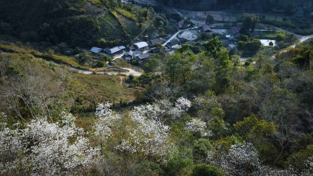 Ve mien Ban trang hinh anh