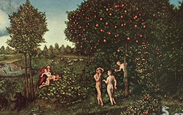 Qua trinh tien hoa ky dieu cua con nguoi hinh anh