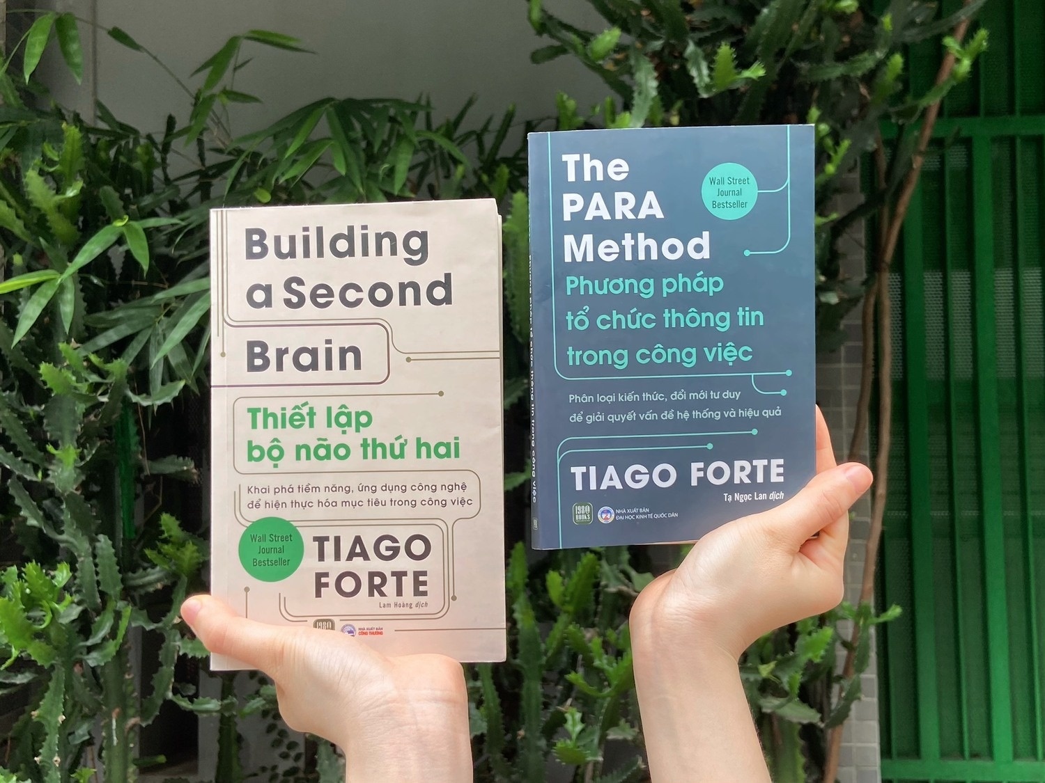 Thiet lap bo nao thu hai trong thoi dai khung hoang thua thong tin hinh anh