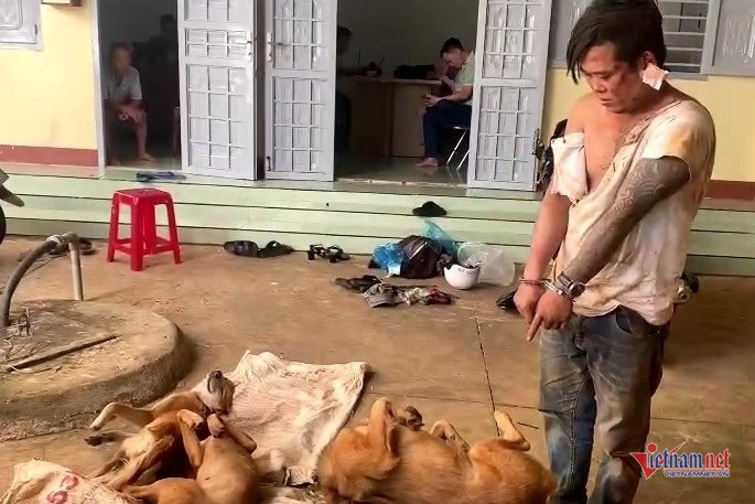 Bat ke trom cho, dung dao dam chu nha o Dak Lak hinh anh