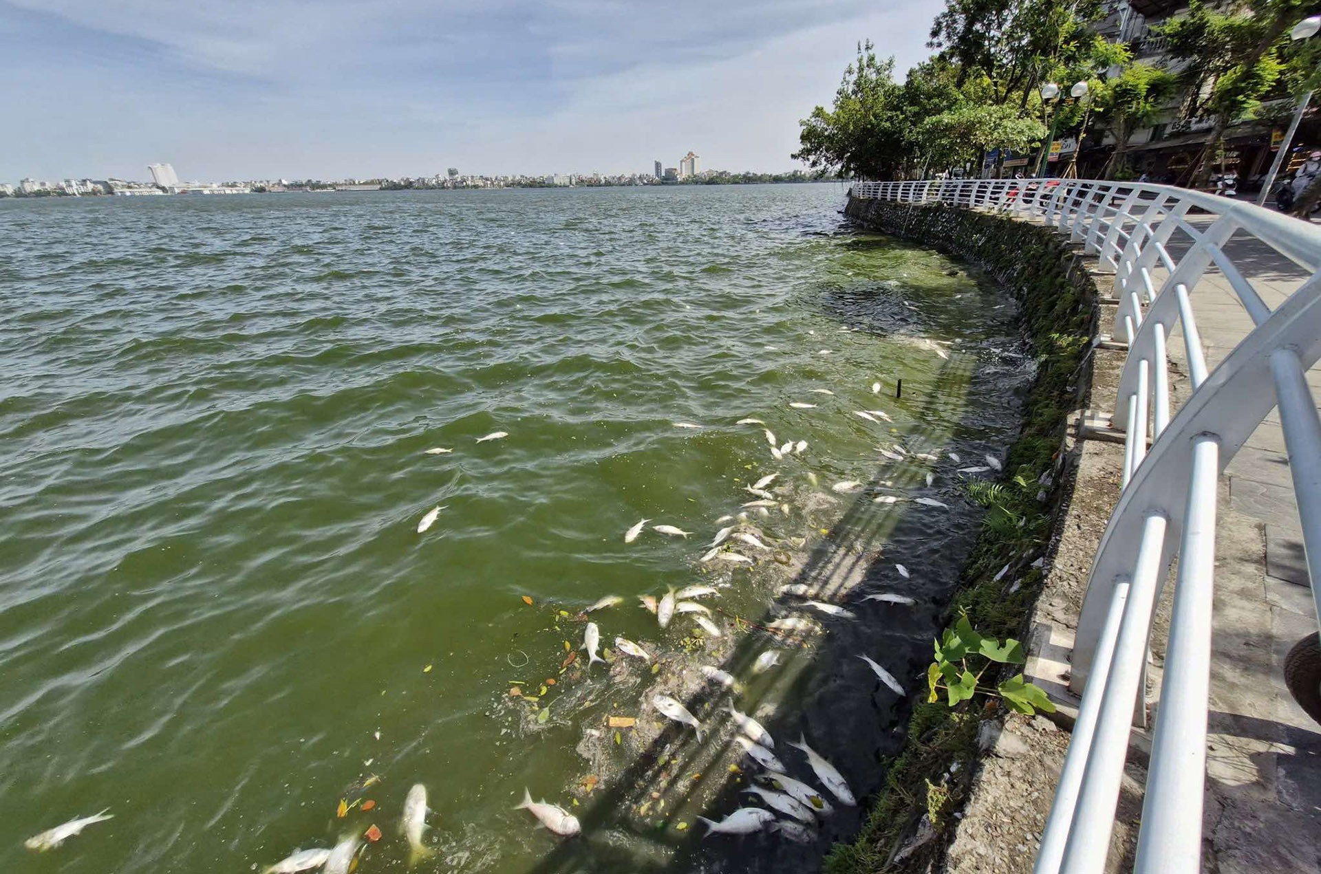 Ca chet Ho Tay anh 1