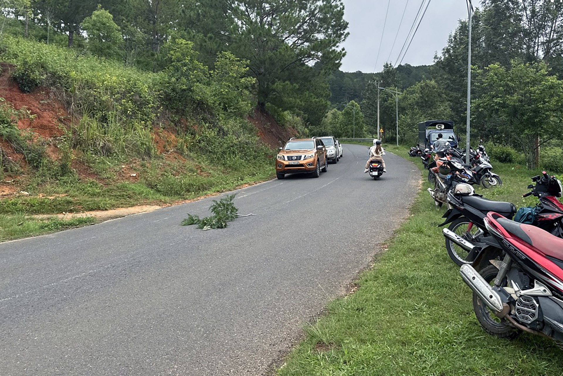 Phat hien mot bo phan nghi co the nguoi o Da Lat hinh anh