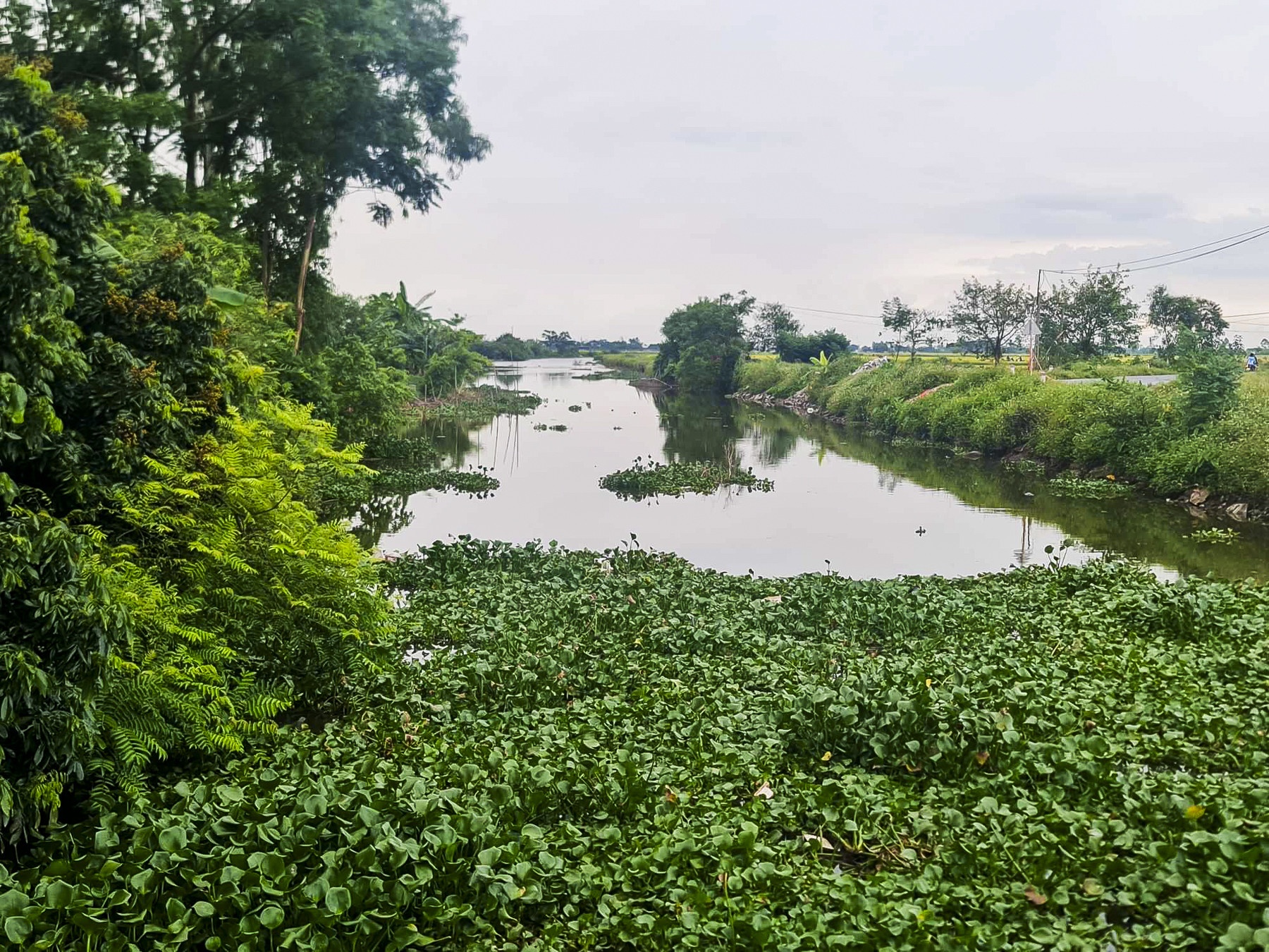 3 nguoi tu vong anh 2