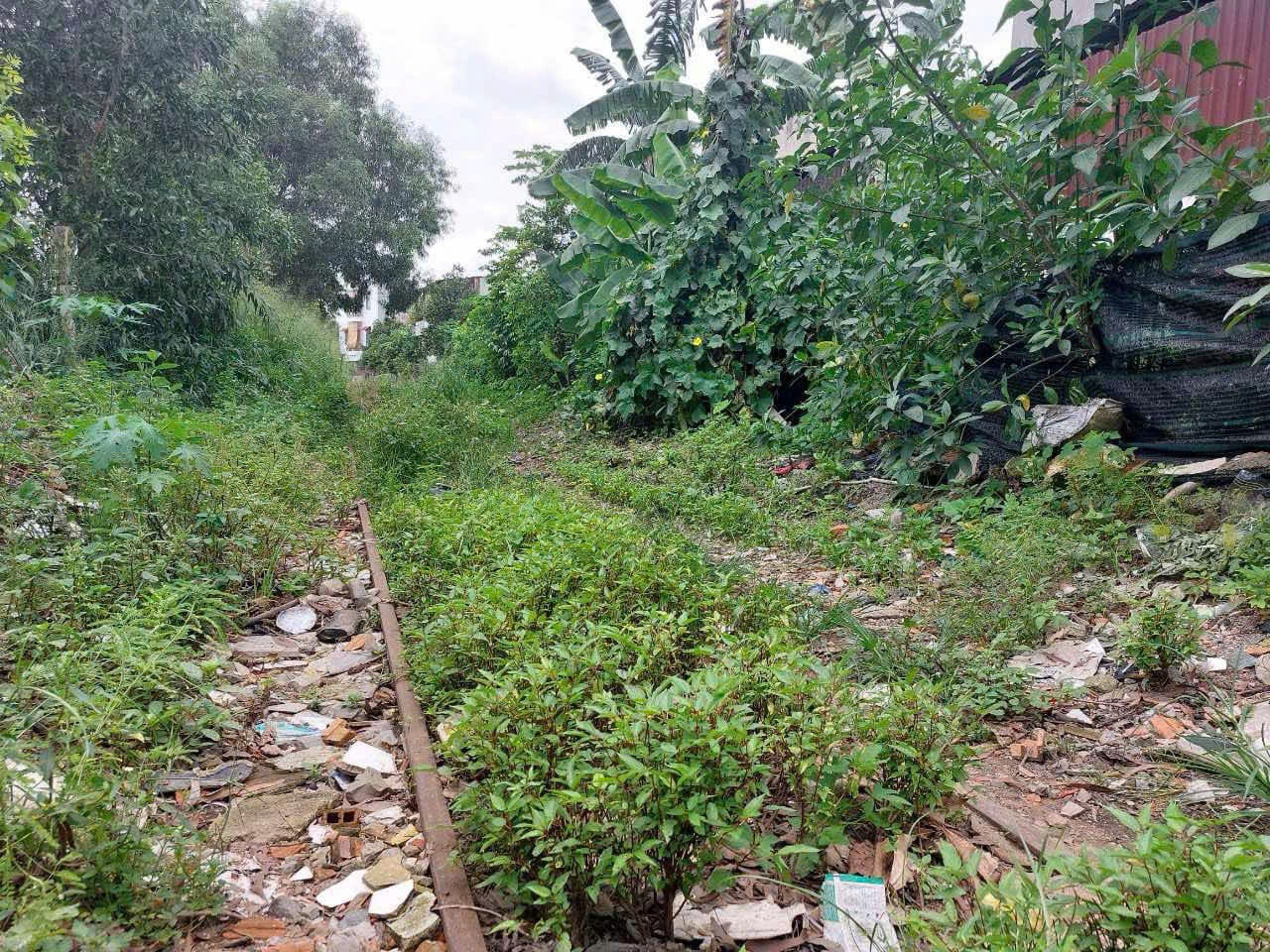 Giam doc Cong ty Co phan duong sat Sai Gon va 4 nguoi bi khoi to hinh anh