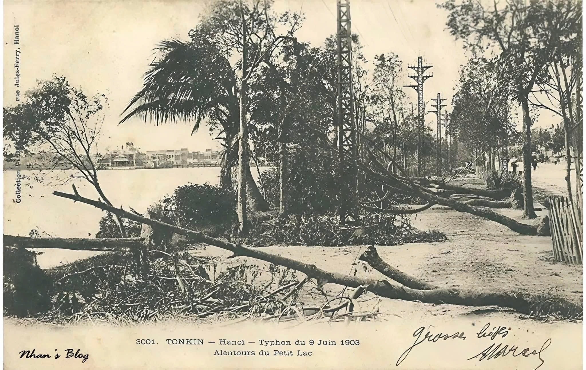 Nhung con bao lon di qua Ha Noi trong qua khu hinh anh