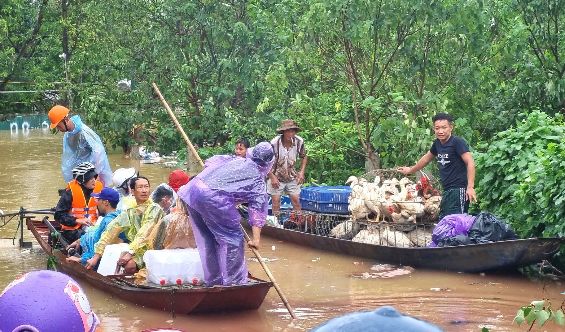 Hoi Nha bao keu goi ung ho khac phuc thiet hai do bao so 3 gay ra hinh anh