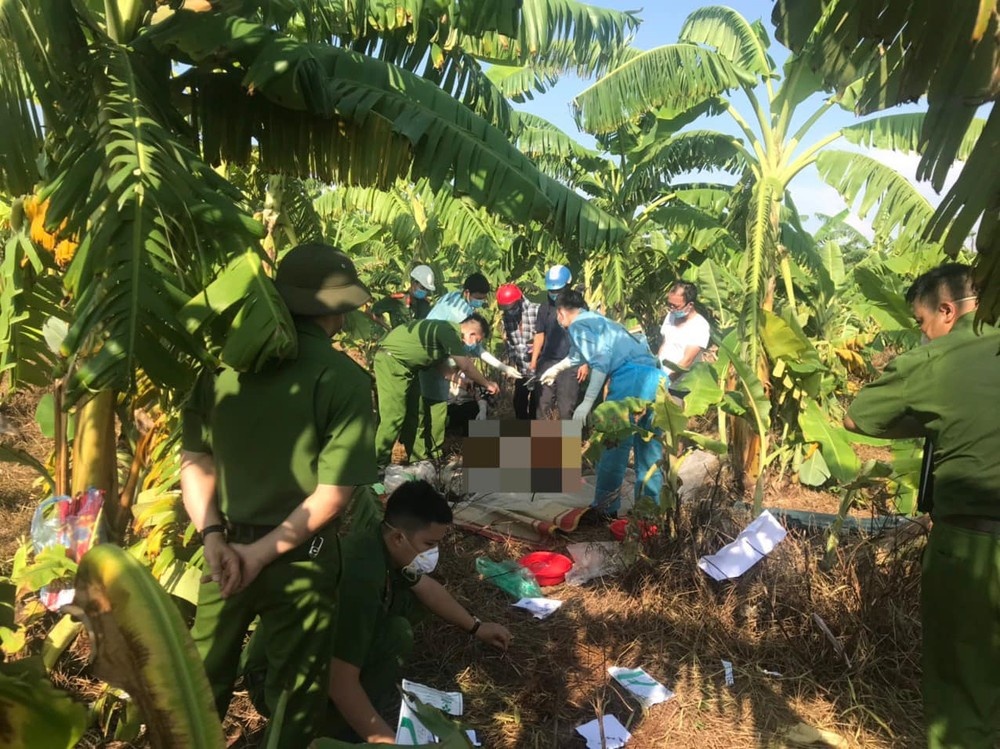 Sap cau Phong Chau anh 1