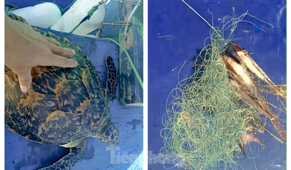 Rua bien quy hiem anh 1