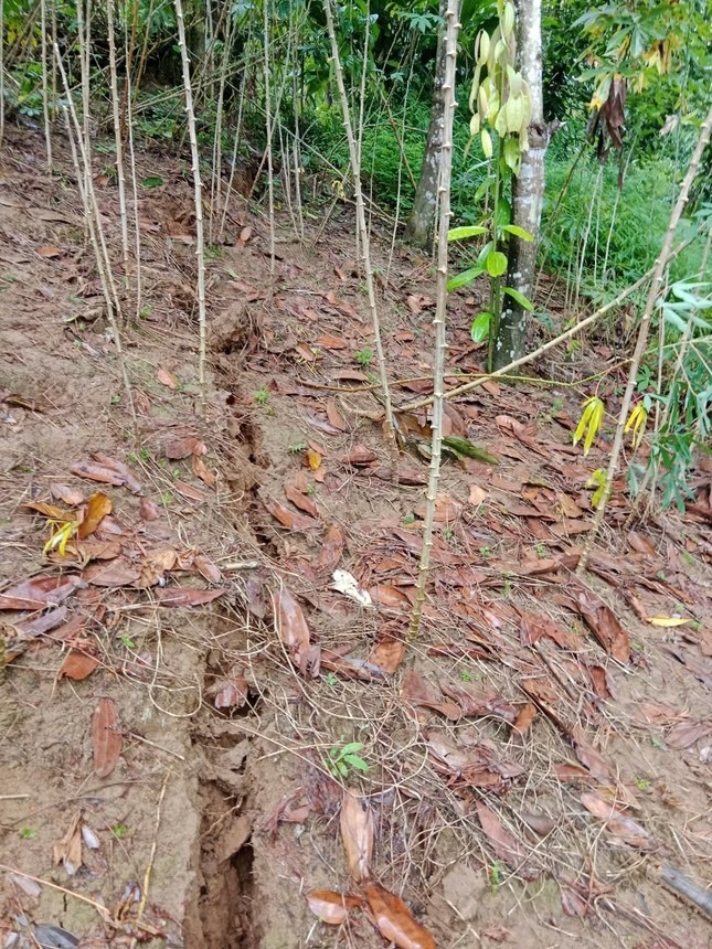 Nut nui Nghe An anh 2