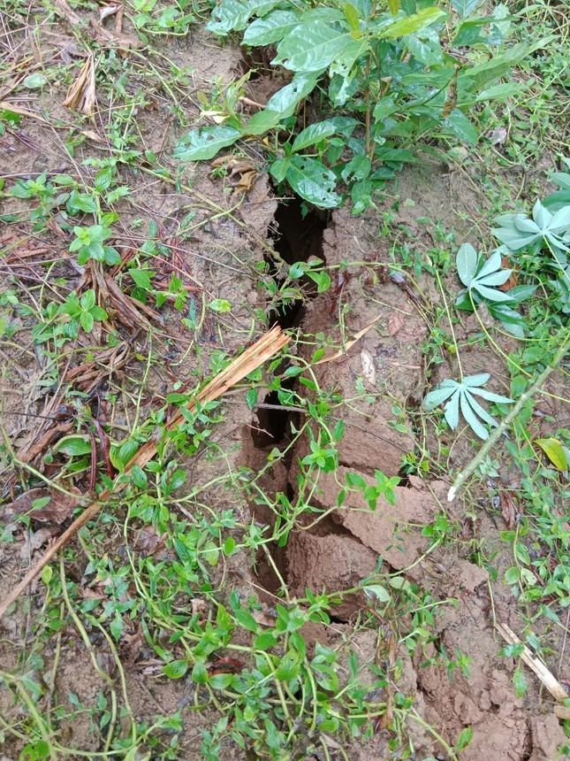 Nut nui Nghe An anh 1