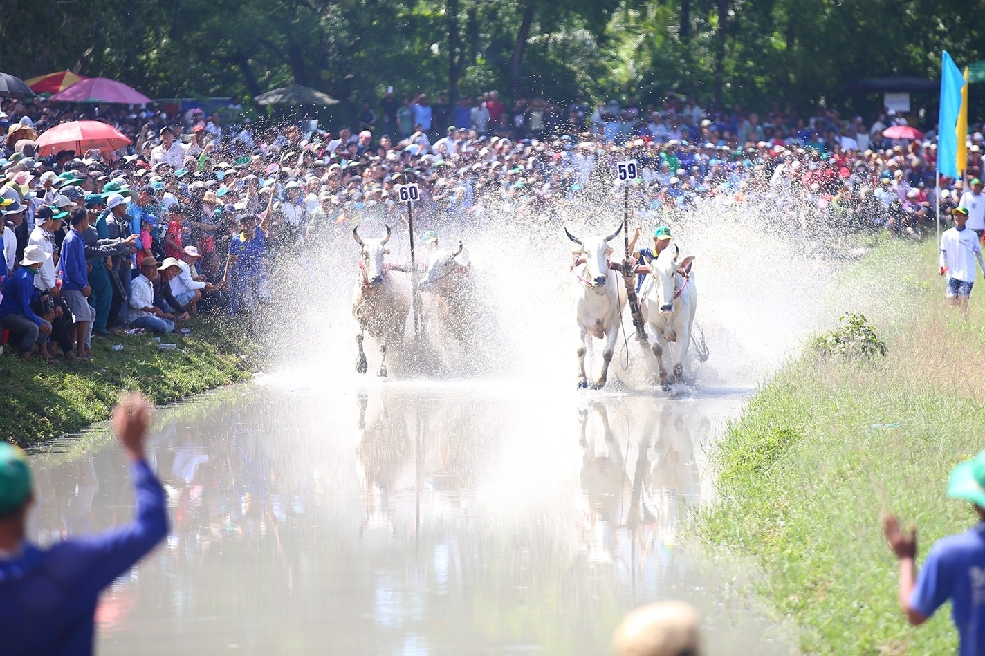 Nguoi dan mien Tay do xo di xem hoi dua bo Bay Nui hinh anh