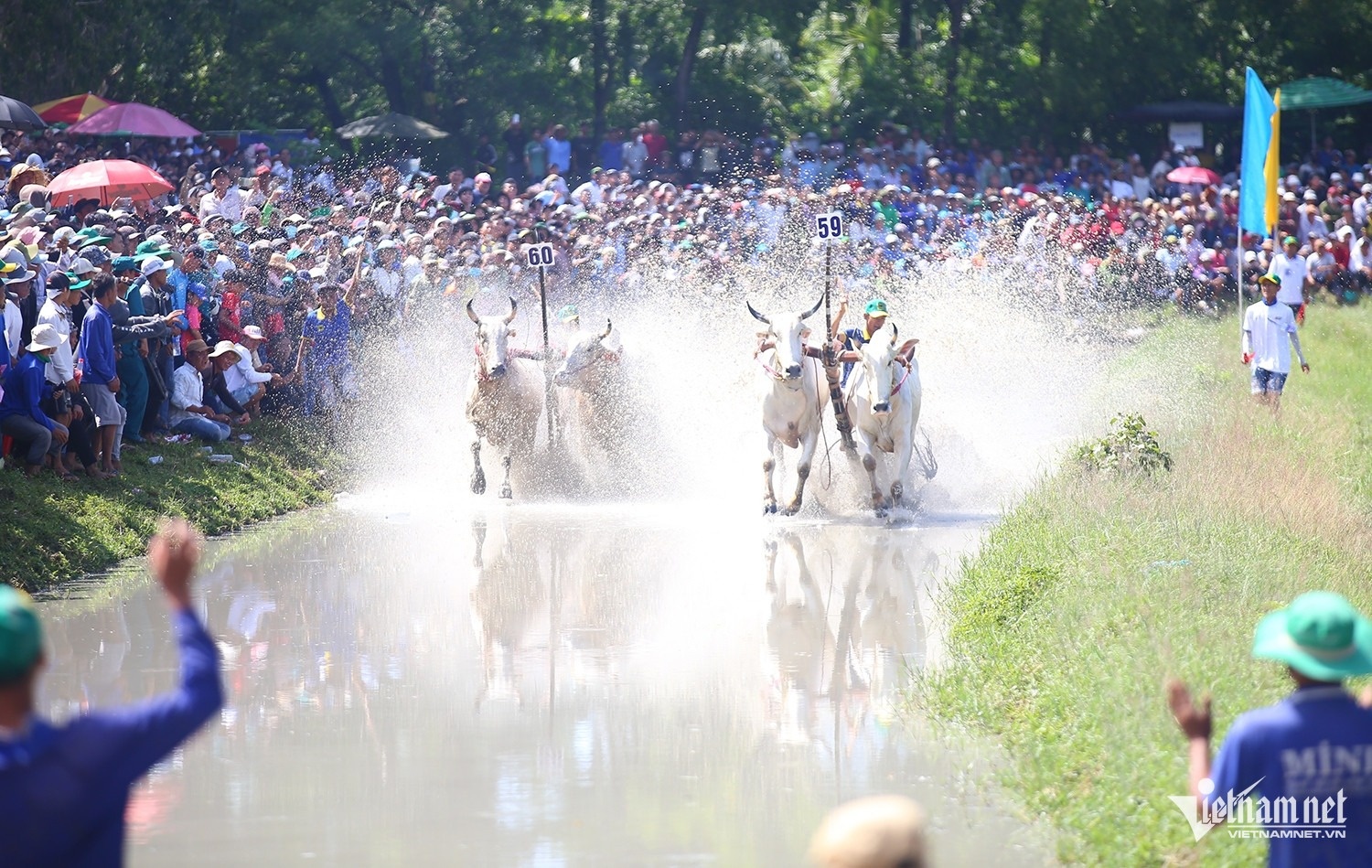 dua bo Bay Nui anh 11