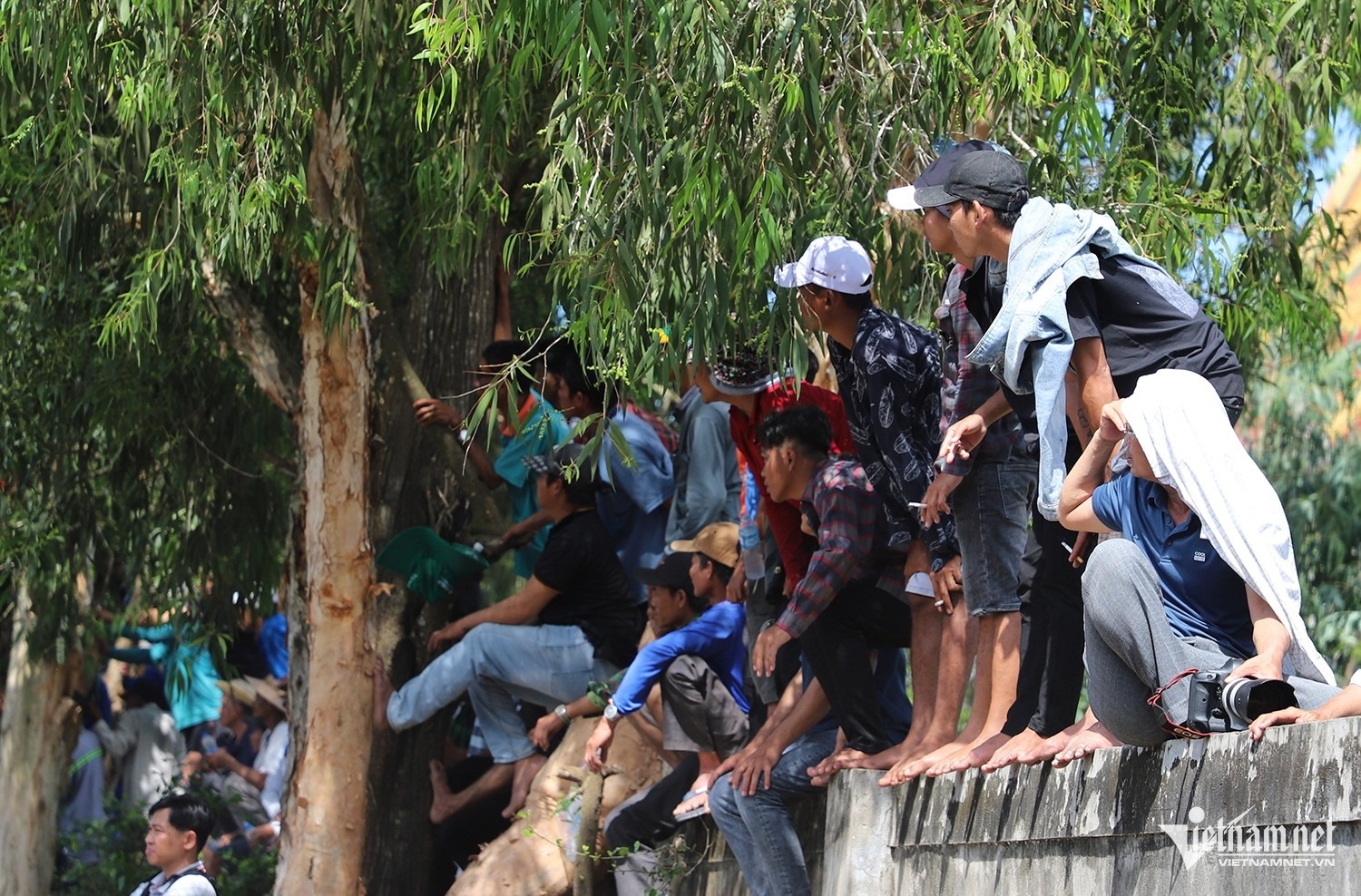 dua bo Bay Nui anh 6