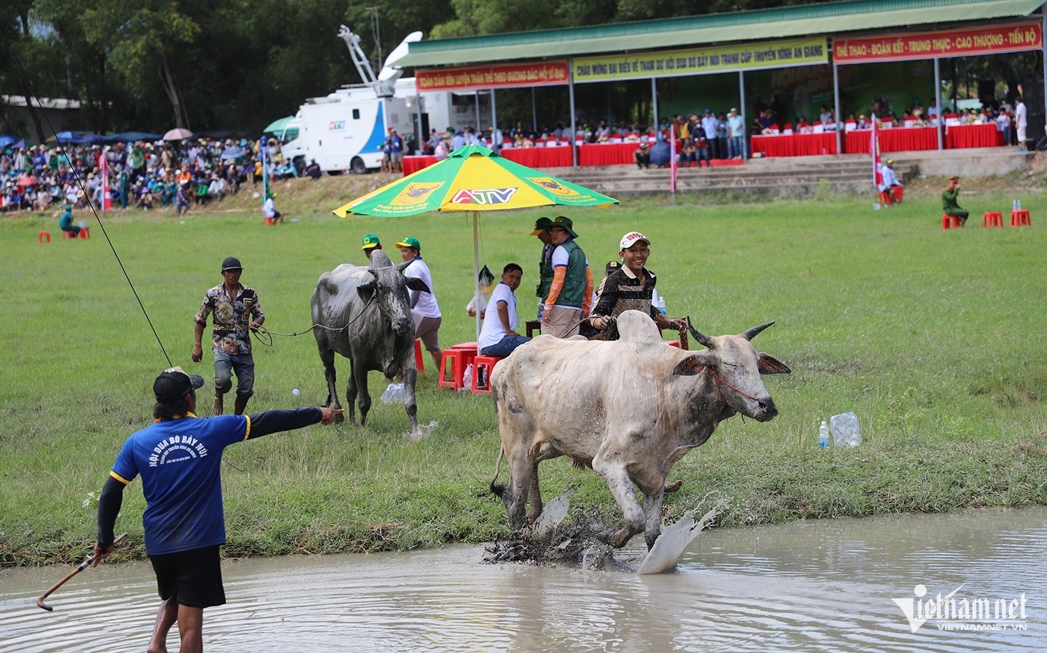 dua bo Bay Nui anh 9
