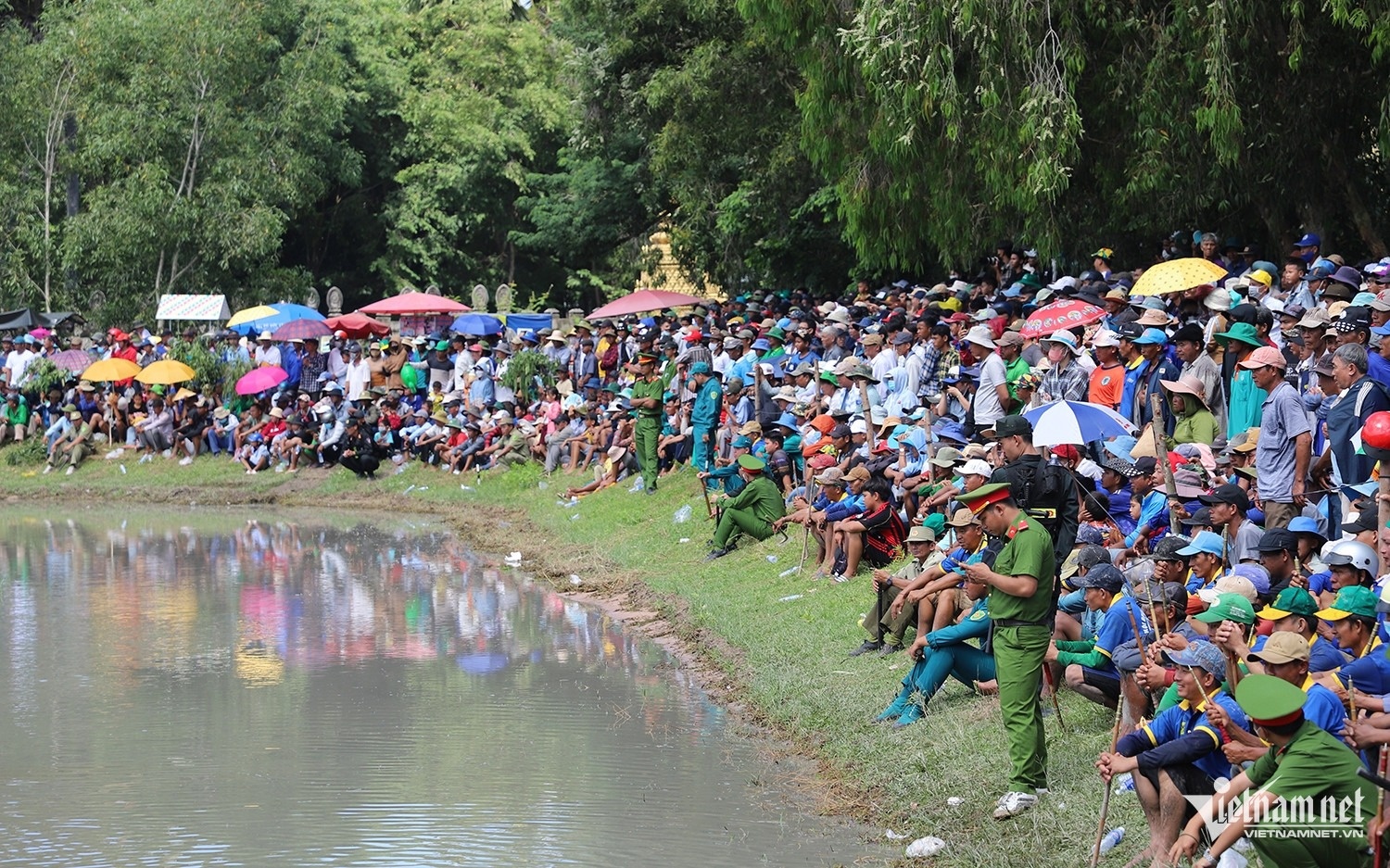 dua bo Bay Nui anh 1