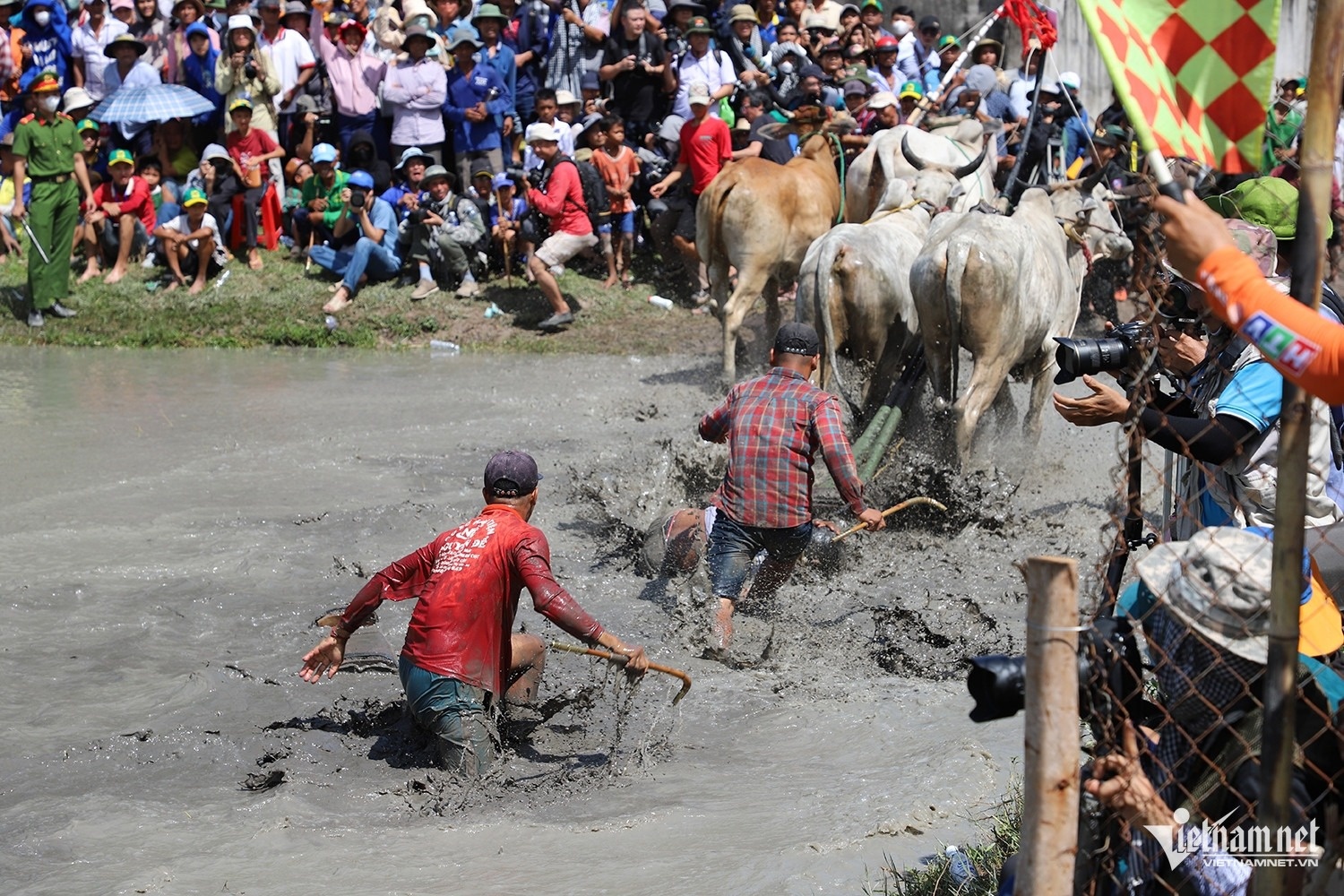 dua bo Bay Nui anh 8