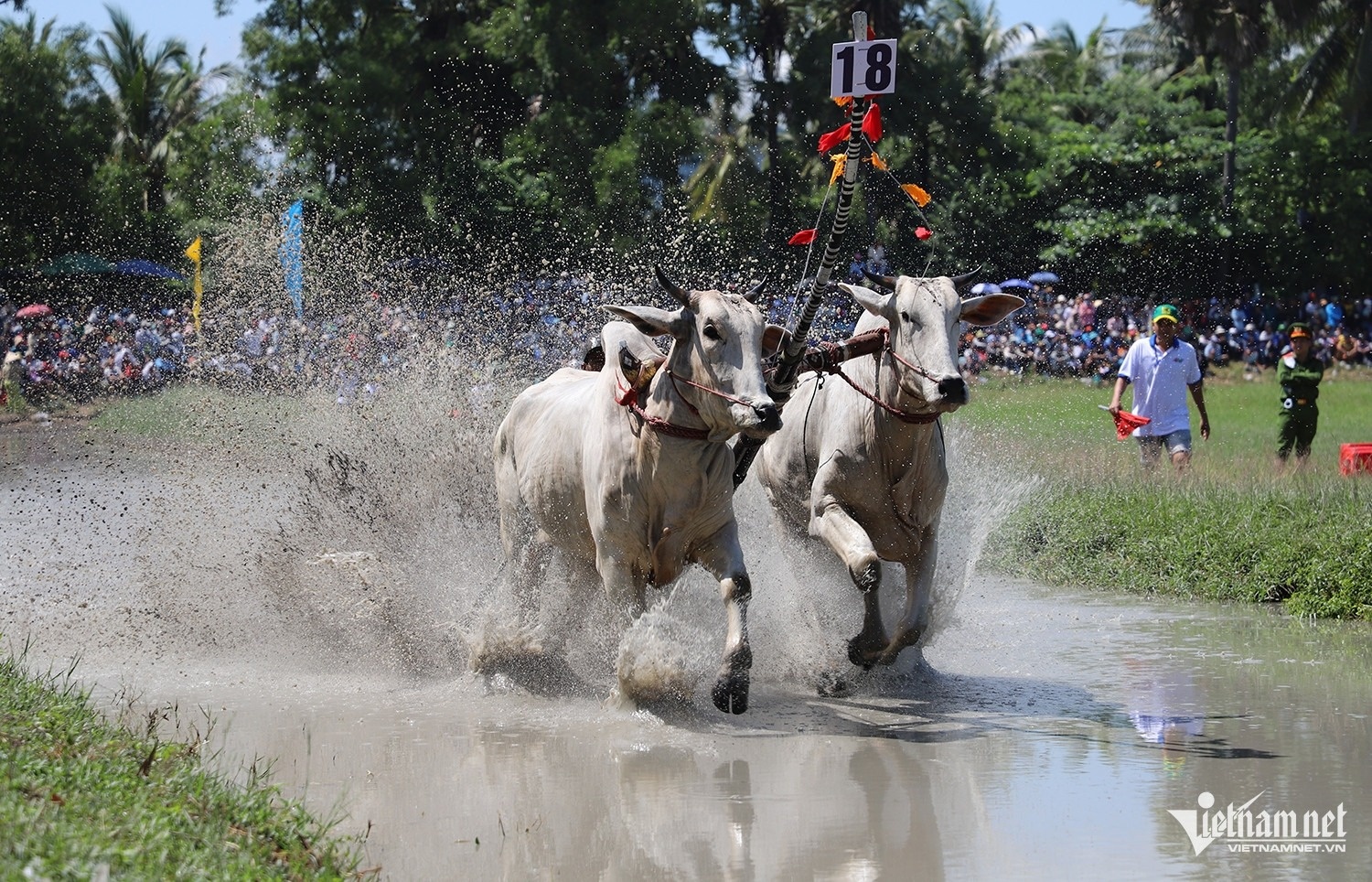 dua bo Bay Nui anh 5