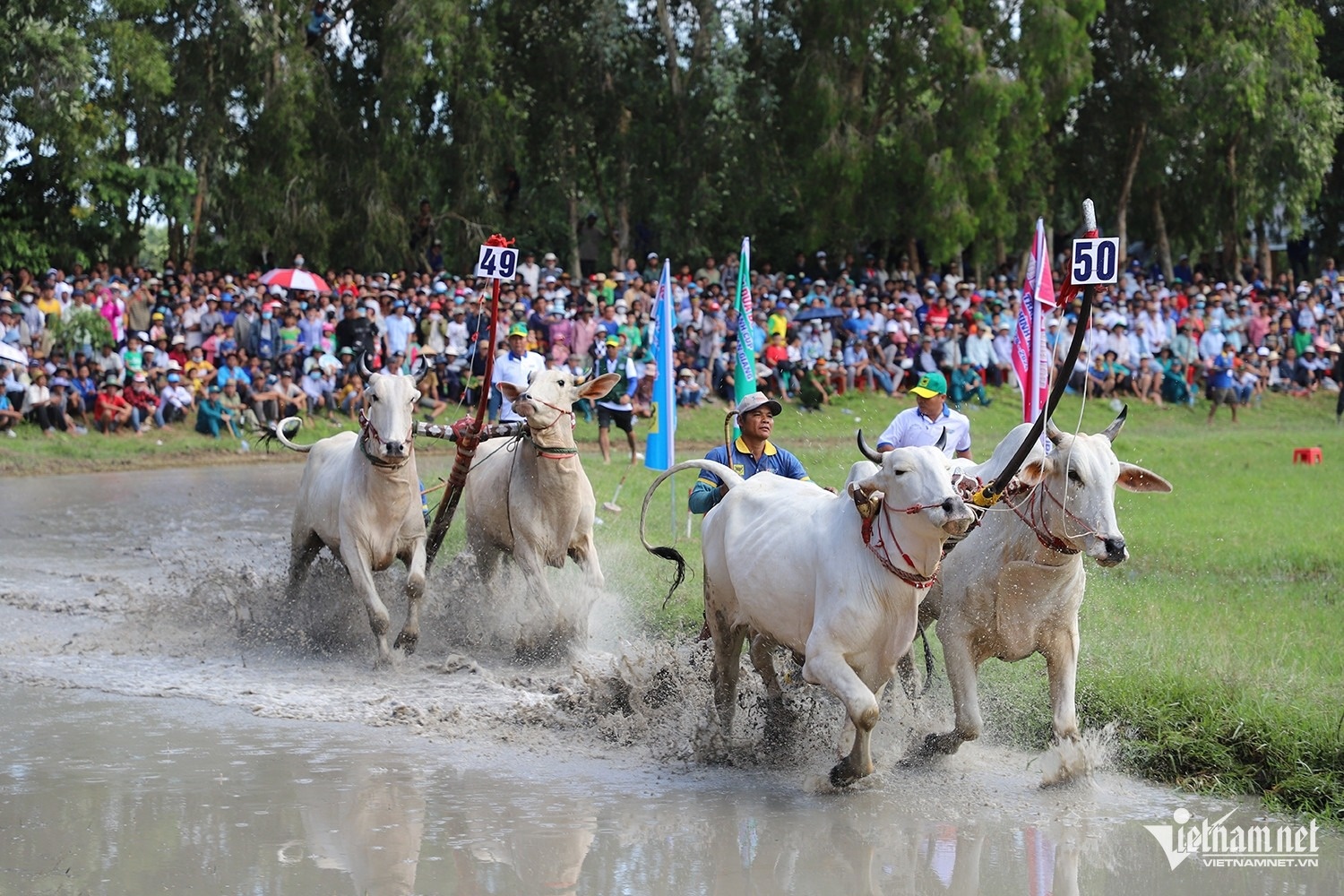 dua bo Bay Nui anh 4