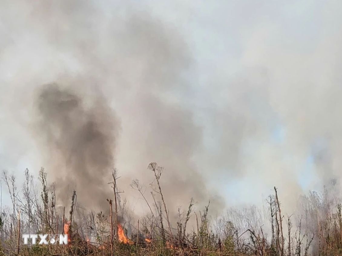 Chay rung Van Don anh 1