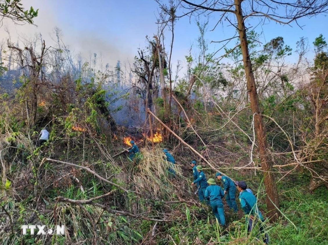 Chay rung Van Don anh 2