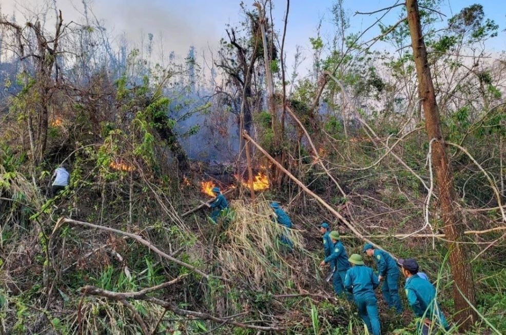 Lien tuc xay ra chay rung tai huyen Van Don sau bao Yagi hinh anh