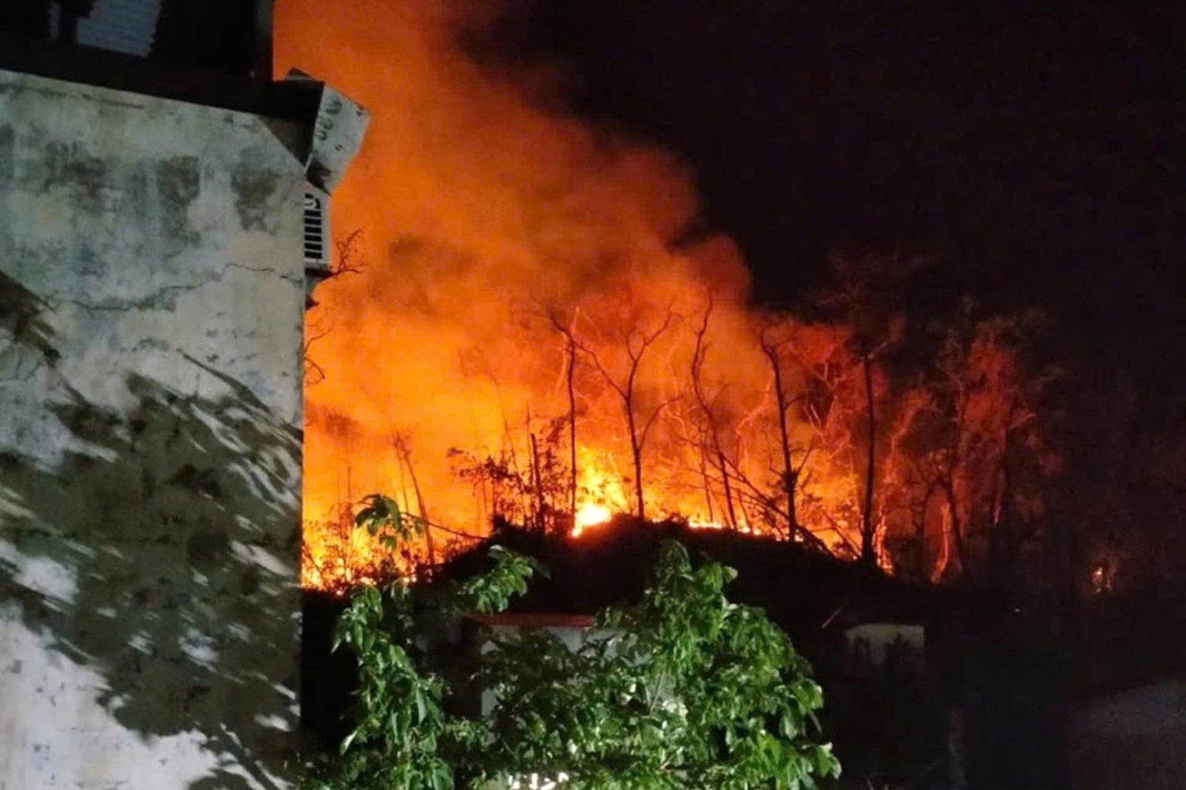 Chay lon Ha Long anh 3